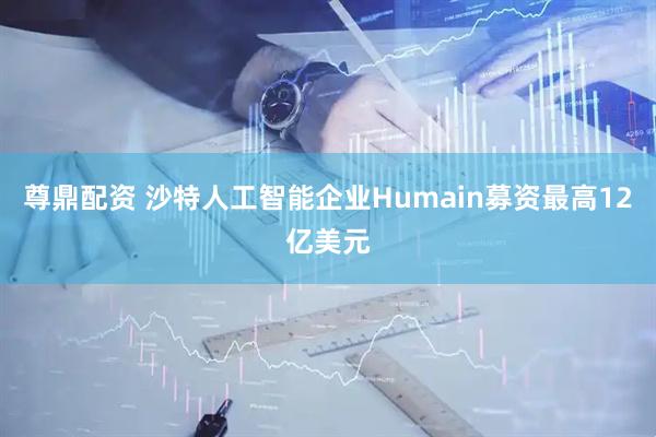 尊鼎配资 沙特人工智能企业Humain募资最高12亿美元