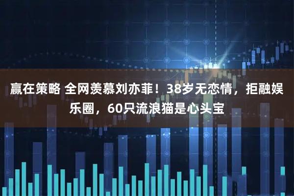 赢在策略 全网羡慕刘亦菲！38岁无恋情，拒融娱乐圈，60只流浪猫是心头宝