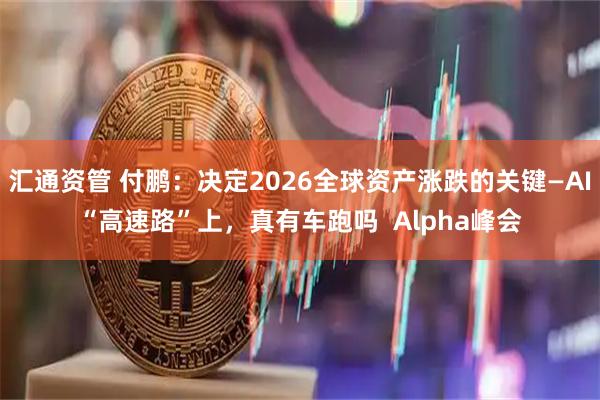 汇通资管 付鹏：决定2026全球资产涨跌的关键—AI“高速路”上，真有车跑吗  Alpha峰会
